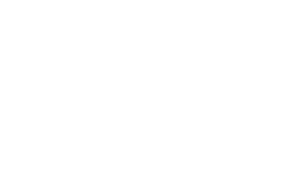 Hochschule Neu-Ulm Logo